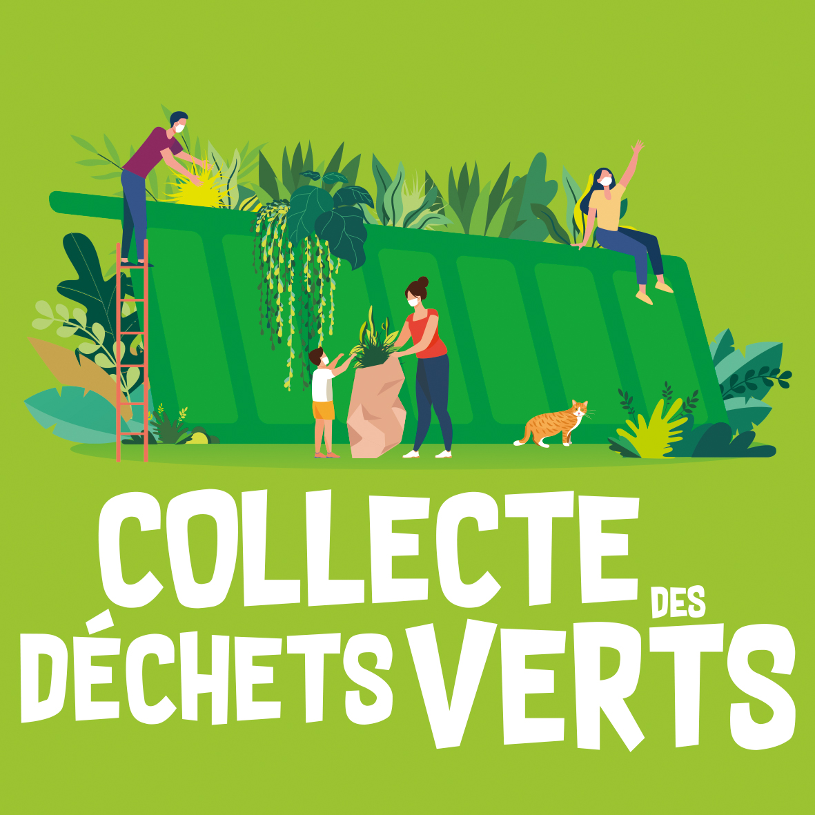 Collecte des déchets verts