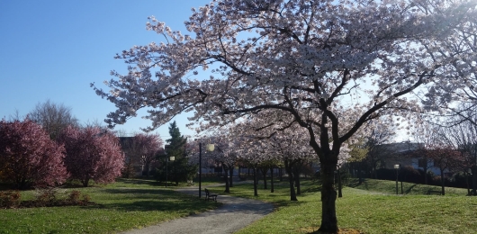Parc Champeau