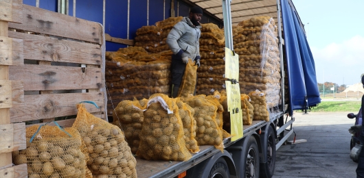 Vente de pommes de terre