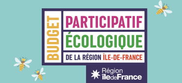 BudgetIDF