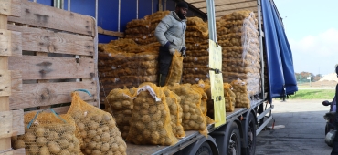 Vente de pommes de terre