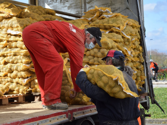 Vente pommes de terres