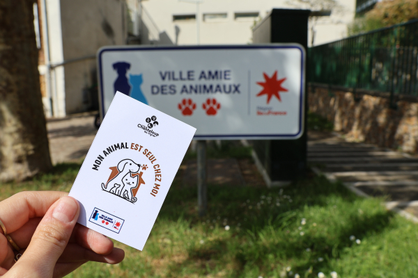 Carte ASM
