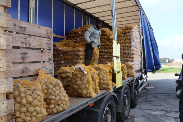 Vente de pommes de terre